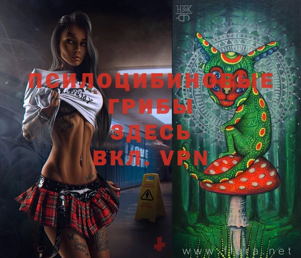 альфа пвп Алексеевка