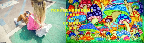 PSILOCYBIN Аркадак