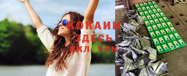 PSILOCYBIN Аркадак