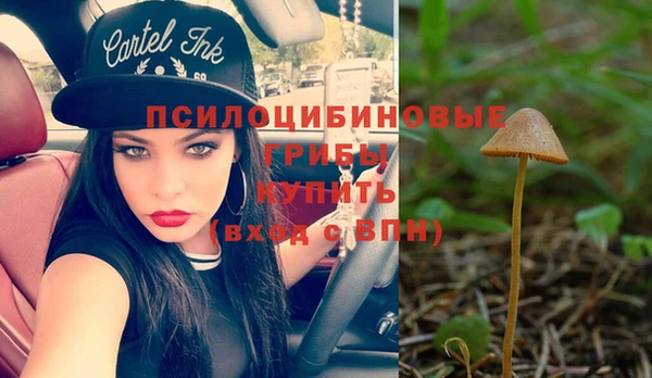 молекула духа Алексин