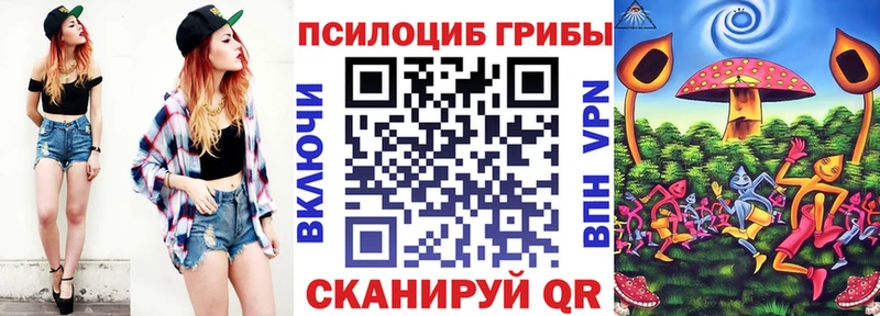 Галлюциногенные грибы Cubensis купить наркоту Буинск